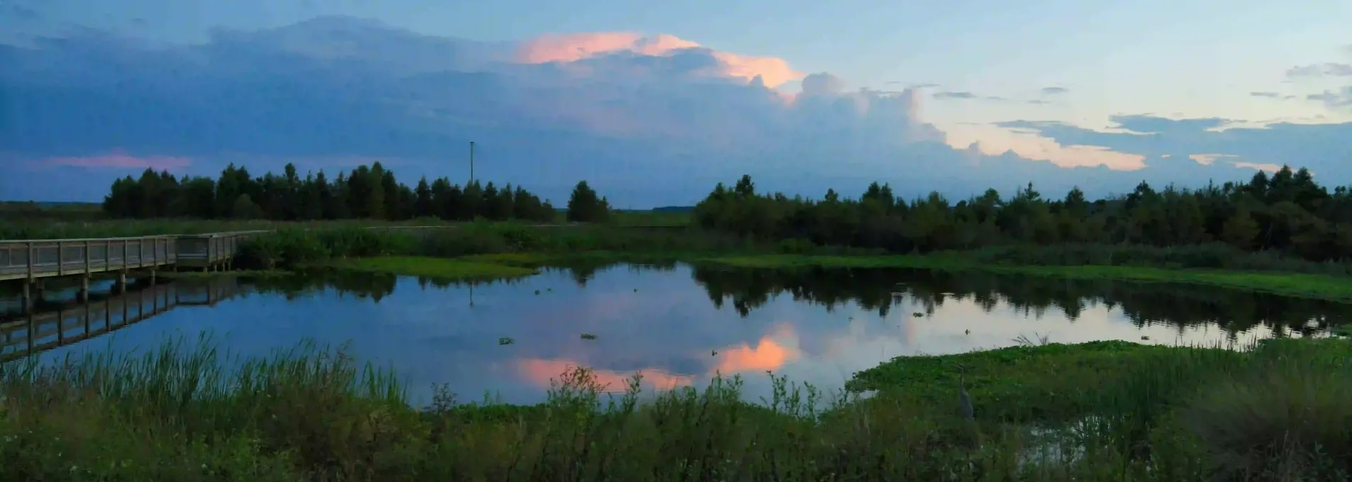 Wetland preserve at sunset with a boardwalk, reflecting pond, and lush vegetation in Gainesville area