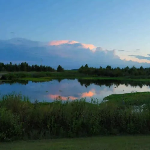 Wetland preserve at sunset with a boardwalk, reflecting pond, and lush vegetation in Gainesville area